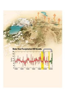 Water Year Precipitation